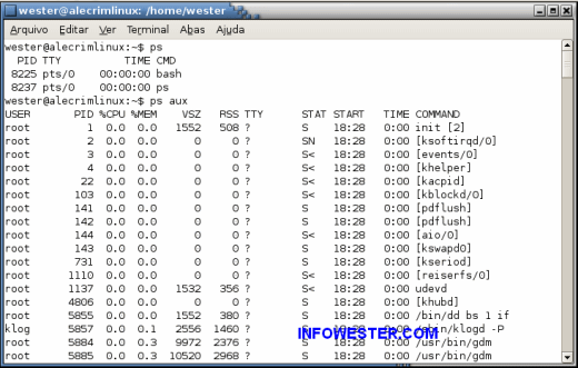 Linux II: programas, processos e pacotes