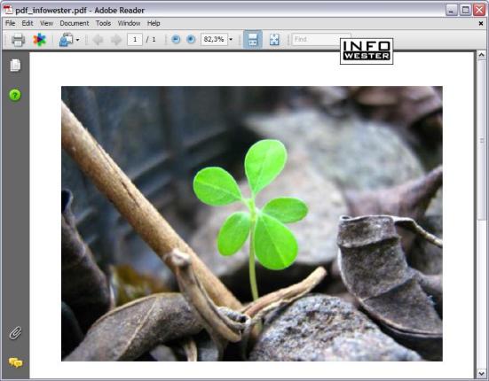 Arquivo em PDF aberto no Adobe Reader