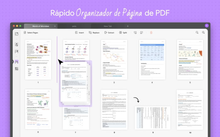 Organizando um arquivo PDF — imagem: divulgação